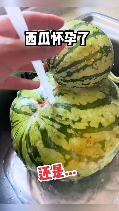 经常吃瓜酪的搞笑视频,笑料横生，笑出腹肌的欢乐时光