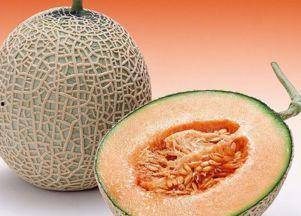 豁牙吃哈密瓜好吗视频,美味与挑战并存