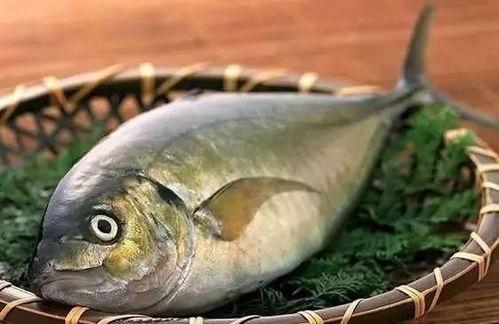 韩国吃活八瓜鱼视频,惊悚一幕！韩国民众现场品尝活八瓜鱼