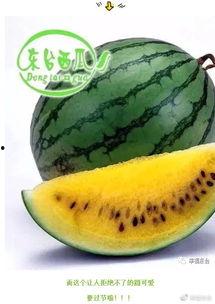 东台吃瓜事件视频曝光,视频曝光揭示惊人真相