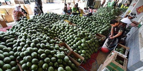 沁阳工贸吃瓜原视频