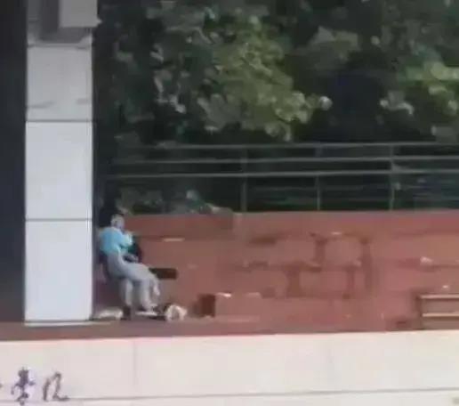 学校吃瓜视频男女,吃瓜视频揭秘男女生间那些事儿