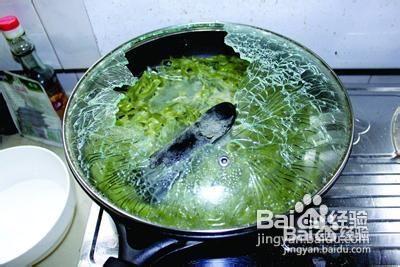 锅盖吃小绿瓜视频,小绿瓜的奇幻之旅