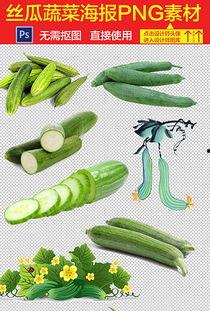 幼师吃瓜视频素材大全,揭秘幼儿园里的欢乐时光